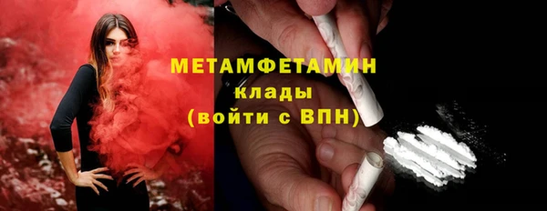 ГАЛЛЮЦИНОГЕННЫЕ ГРИБЫ Верея