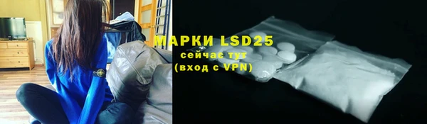 ГАЛЛЮЦИНОГЕННЫЕ ГРИБЫ Верея