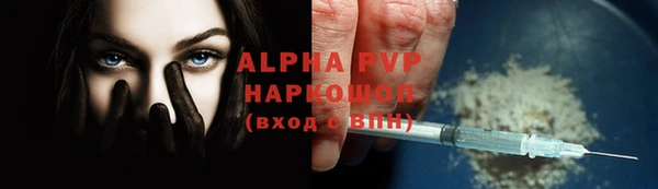 твердый Богданович