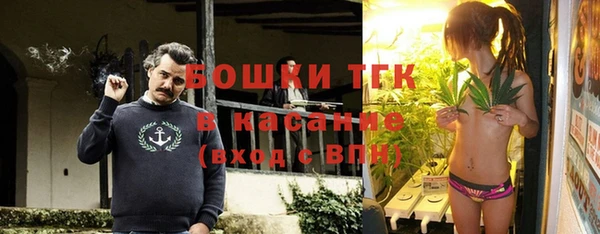 ГАЛЛЮЦИНОГЕННЫЕ ГРИБЫ Верея