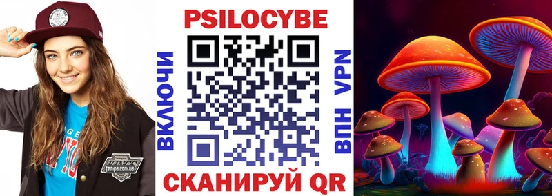 Галлюциногенные грибы Psilocybine cubensis  закладка  Среднеуральск 